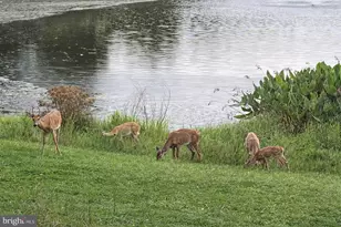 43612 Habitat Cir, Leesburg, VA 20176 - Photo 109