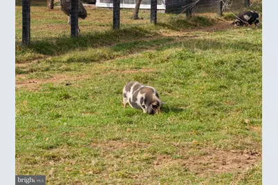 19937 Evergreen Mills Road, Leesburg, VA 20175 - Photo 111