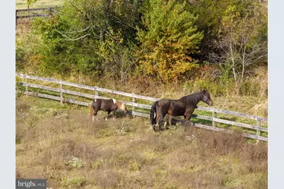 19937 Evergreen Mills Road, Leesburg, VA 20175 - Photo 87