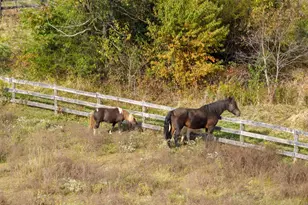 19937 Evergreen Mills Rd, Leesburg, VA 20175 - Photo 87