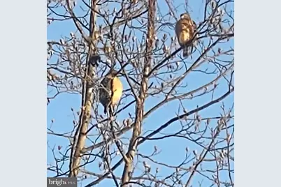 47501 Sharpskin Island Square, Sterling, VA 20165 - Photo 5