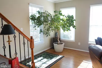 47501 Sharpskin Island Square, Sterling, VA 20165 - Photo 43