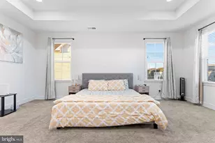 25528 Woodbine Farm Dr, Chantilly, VA 20152 - Photo 49