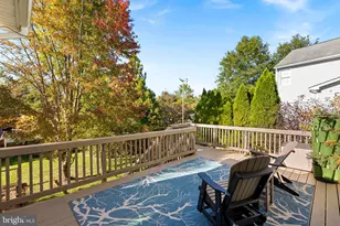 917 Towering Oak Ct, Purcellville, VA 20132 - Photo 51