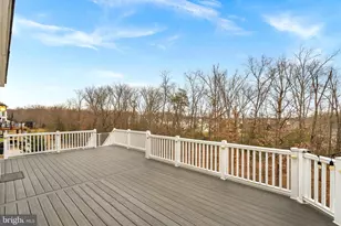 22558 Forest Run Dr, Ashburn, VA 20148 - Photo 105