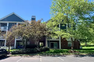 20301 Beechwood Terrace, Ashburn, VA 20147 - Photo 11