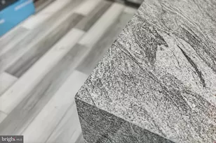 41424 Gentle Wind Pl, Aldie, VA 20105 - Photo 67