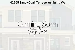 42905 Sandy Quail Ter, Ashburn, VA 20148 - Photo 1