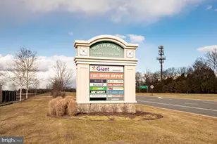 42919 Pamplin Terrace, Chantilly, VA 20152 - Photo 61