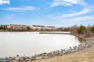 42919 Pamplin Terrace, Chantilly, VA 20152 - Photo 53