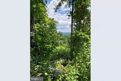 13477 Mountain Road, Lovettsville, VA 20180 - Photo 5