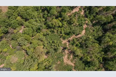 13477 Mountain Road, Lovettsville, VA 20180 - Photo 11