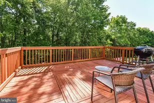 46342 Summerhill Pl, Sterling, VA 20165 - Photo 31