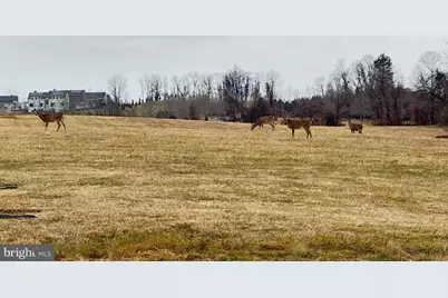 110 N Madison Street, Middleburg, VA 20117 - Photo 13