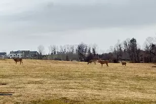 110 N Madison St, Middleburg, VA 20117 - Photo 13