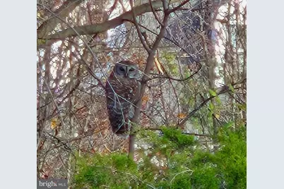 622 Curtin Place SE, Leesburg, VA 20175 - Photo 27