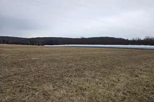 Woodgrove Rd, Purcellville, VA 20132 - Photo 1