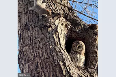 43287 Warwick Hills Court, Leesburg, VA 20176 - Photo 53