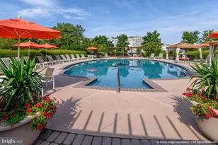 41919 Moreland Mine Terrace, Aldie, VA 20105 - Photo 5