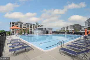 46294 Mount Milstead Ter, Sterling, VA 20164 - Photo 31