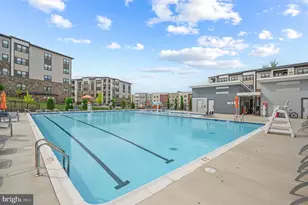 46294 Mount Milstead Ter, Sterling, VA 20164 - Photo 35