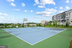 46294 Mount Milstead Ter, Sterling, VA 20164 - Photo 33