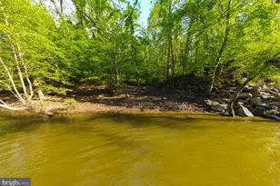 19126 Stream Crossing Ct, Leesburg, VA 20176 - Photo 131