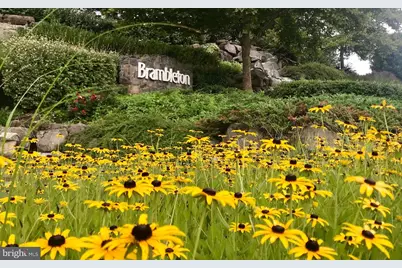 42116 Hazel Grove Terrace, Ashburn, VA 20148 - Photo 17