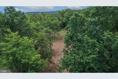 0 Austin Grove Rd, Bluemont, VA 20135 - Photo 11