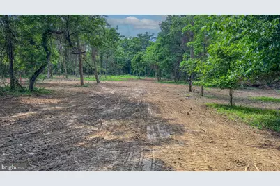 0 Austin Grove Rd, Bluemont, VA 20135 - Photo 13