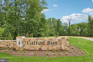 18322 Chutnee Run Dr, Leesburg, VA 20176 - Photo 61