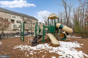 25294 Gray Poplar Terrace, Aldie, VA 20105 - Photo 37