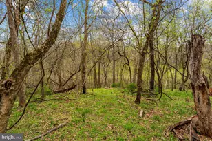 14039 Amys Meadow Ct, Leesburg, VA 20176 - Photo 111