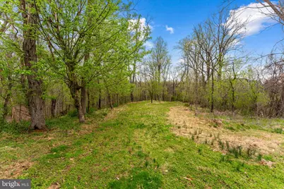 14039 Amys Meadow Court, Leesburg, VA 20176 - Photo 111