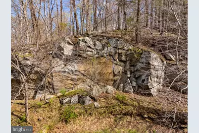 14039 Amys Meadow Court, Leesburg, VA 20176 - Photo 117