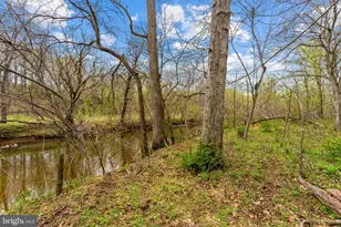 14039 Amys Meadow Ct, Leesburg, VA 20176 - Photo 109