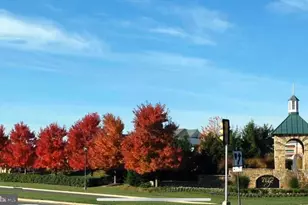 41851 Cinnabar Square, Aldie, VA 20105 - Photo 33