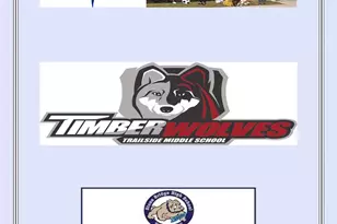 20384 Bass Rocks Terrace, Ashburn, VA 20147 - Photo 43