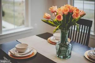 22801 Tawny Pne Sq, Brambleton, VA 20148 - Photo 37