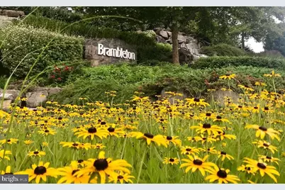 22801 Tawny Pine Square, Brambleton, VA 20148 - Photo 3