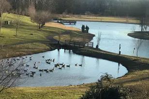 22587 Welborne Manor Square, Ashburn, VA 20148 - Photo 23