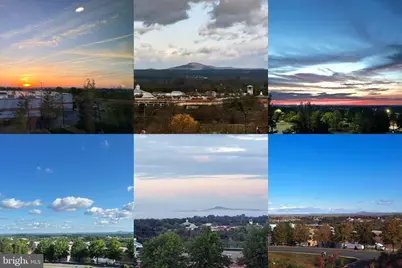 46270 Mount Allen Terrace #300, Sterling, VA 20164 - Photo 31