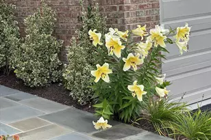 42798 Macbeth Ter, Ashburn, VA 20148 - Photo 71