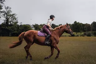 19606 Ridgeside Rd, Bluemont, VA 20135 - Photo 13