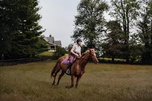 19606 Ridgeside Rd, Bluemont, VA 20135 - Photo 77