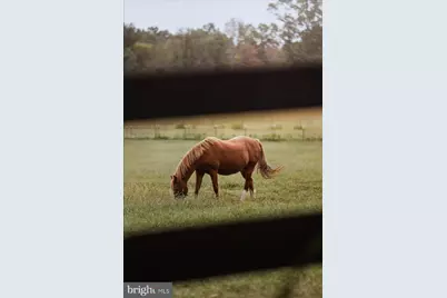 19606 Ridgeside Road, Bluemont, VA 20135 - Photo 73