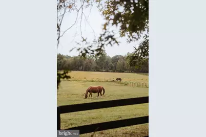 19606 Ridgeside Road, Bluemont, VA 20135 - Photo 69