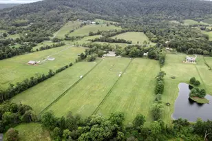 19606 Ridgeside Rd, Bluemont, VA 20135 - Photo 55