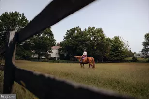 19606 Ridgeside Rd, Bluemont, VA 20135 - Photo 15
