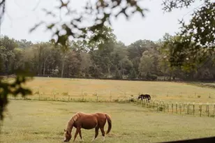 19606 Ridgeside Rd, Bluemont, VA 20135 - Photo 71